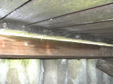 46851_BILD0309_1.jpg