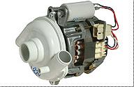 47006_GVW8552_Pomp_2.jpg