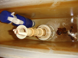47207_wc_foto_1.jpg