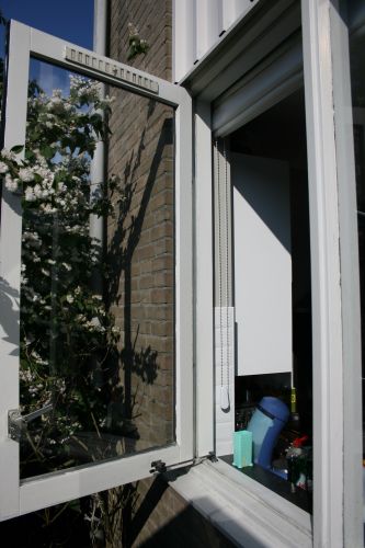 47745_IMG_4925_1.jpg