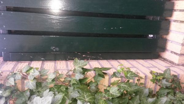 48218_20131021_173509_1.jpg