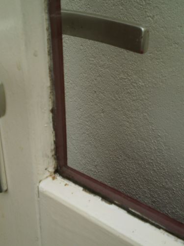 48572_P7050030_1.jpg