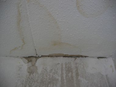 4869_IMG_5997_1.jpg