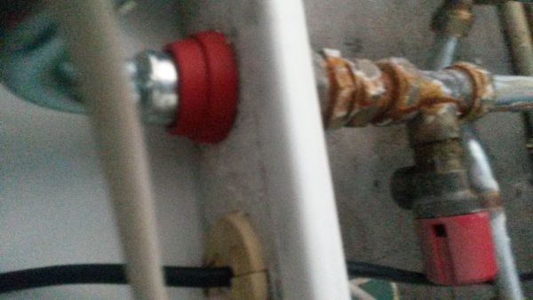 49069_20140814_093900_1.jpg