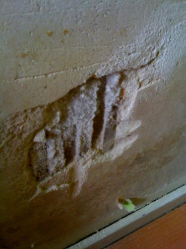 49371_foto1_1.jpg