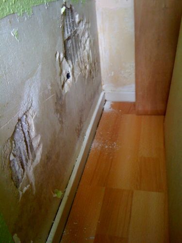 49371_foto2_1.jpg
