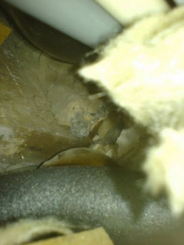 50679_DSC00217_1.jpg