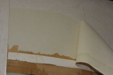51140_IMG_7277_1.jpg