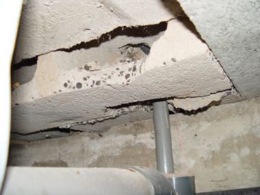 51213_situ2_1.jpg