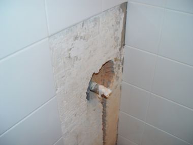 51213_wc01_1.jpg