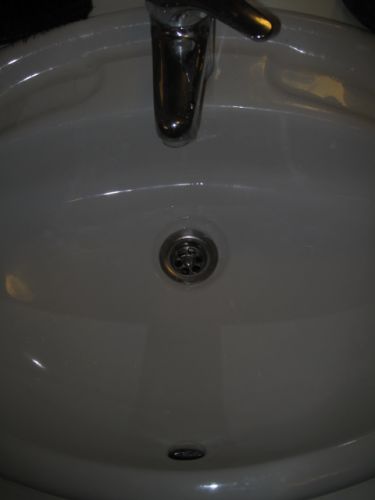 51501_IMG_3695_1.jpg