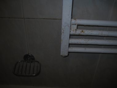 51501_IMG_3862_1.jpg