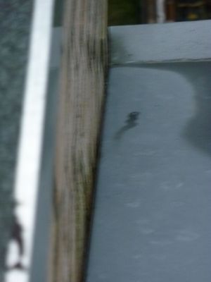 51748_P1020583_1.jpg