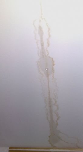 51820_vochtvlekkencloseup_1.jpg