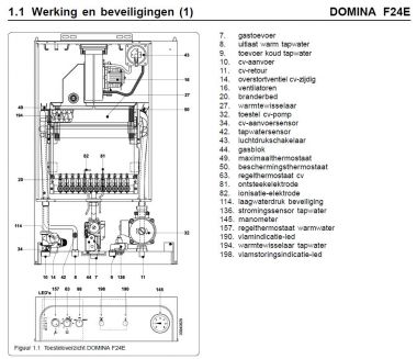 52218_Domina_1.jpg