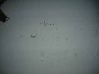 52385_DSCN0996_1.jpg