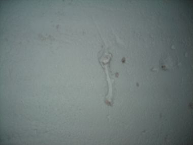 52385_DSCN0997_1.jpg