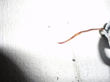 52639_7_1.jpg