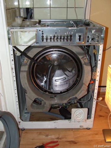 5289_1wasm_1.jpg