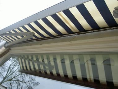5289_koz1_1.jpg