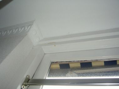 5289_koz4_1.jpg