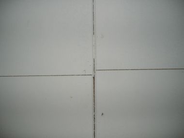 5289_naden_1.jpg
