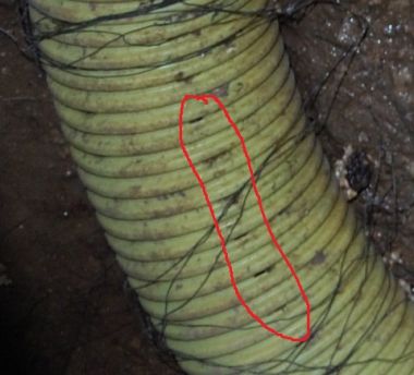 53273_kruipruimte3_1.jpg