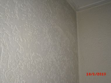 53448_CIMG0425_1.jpg