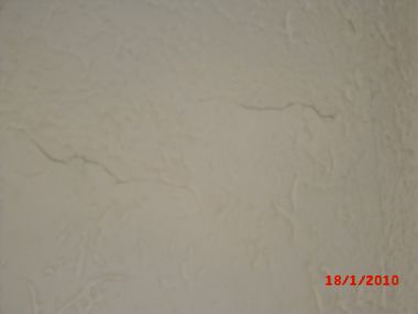 53448_CIMG0431_1.jpg