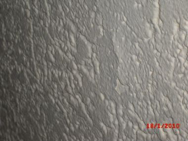 53448_CIMG0432_1.jpg