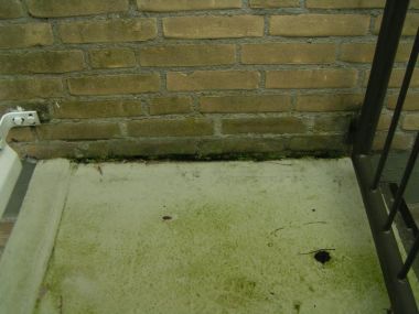 53696_vocht7_1.jpg
