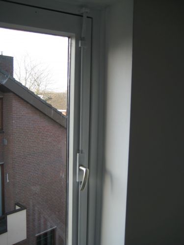 54534_IMG_3167_1.jpg