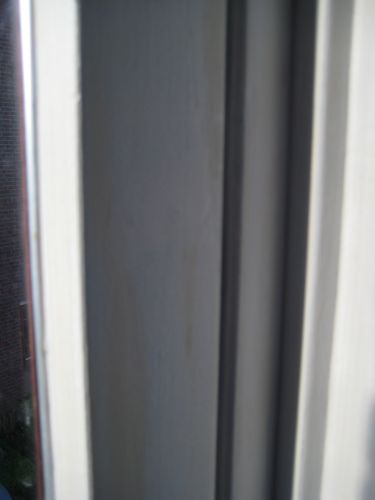 54534_IMG_3168_1.jpg
