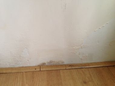 54608_image2_1.jpg