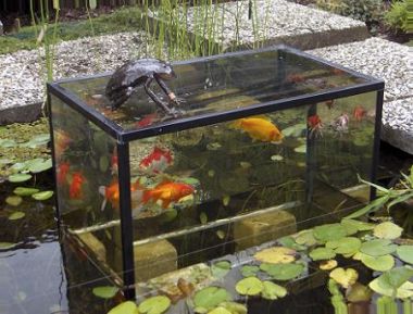 5508_Aquarium_in_vijver_1.jpg