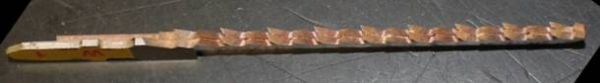 5508_cunex_1.jpg