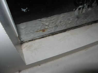 55610_IMG_4562_1.jpg