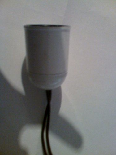 55900_270110_1714_1.jpg