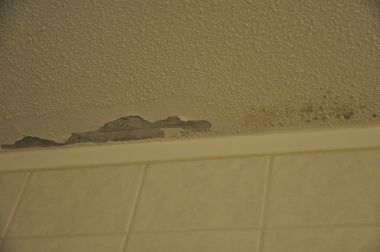 55965_DSC_7940_1.jpg