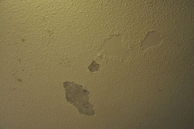 55965_plafond_1.jpg