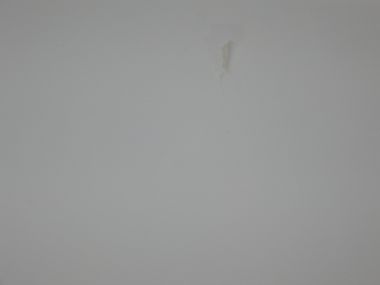 56119_IMG_0940_1.jpg