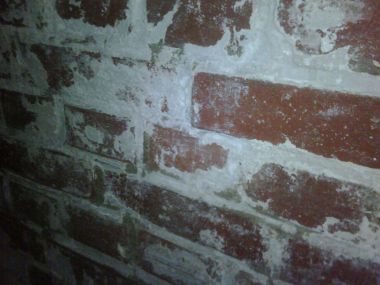 56970_IMG00042201002181548_1.jpg