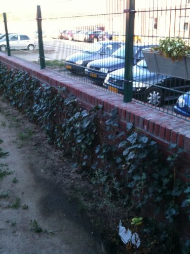 57308_foto_2.jpg