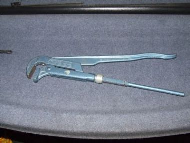 5739_zweedsetang_1.jpg