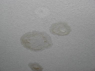 57759_CIMG1727_1.jpg