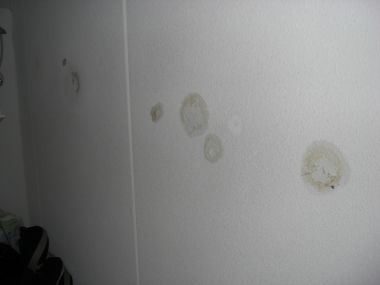 57759_CIMG1728_1.jpg