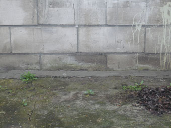 58499_schuur_2.jpg