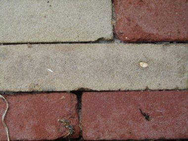 59512_steen5_4_1.jpg