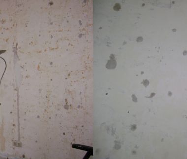 59586_muur_1.jpg
