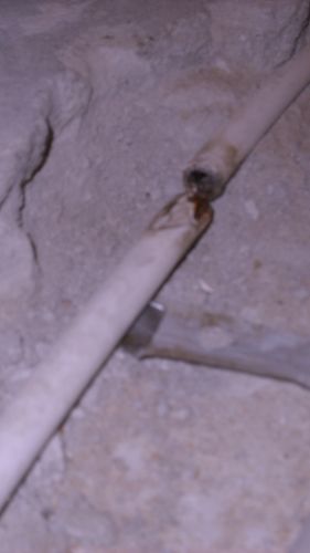 62366_S7300858_1.jpg